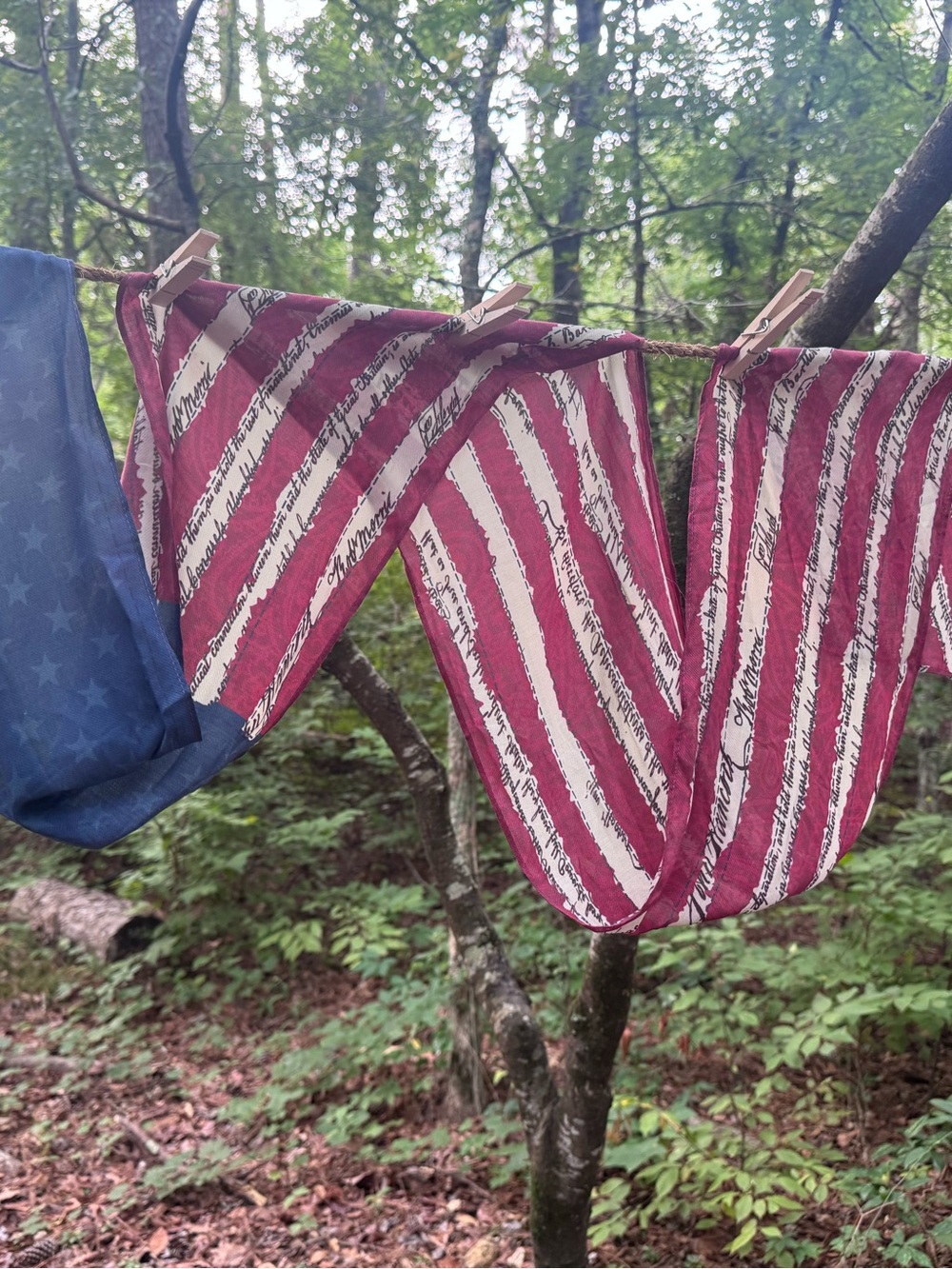 American Flag Scarf - Red, White & Blue